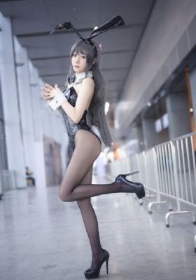 警花与警犬电视剧免费观看完整版_蓝光在线观看完整版